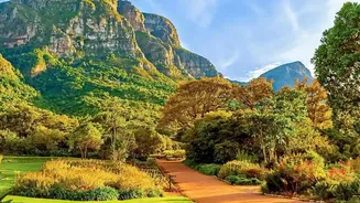 South Africa Makes a Compelling Case for Taking Travel Slowly