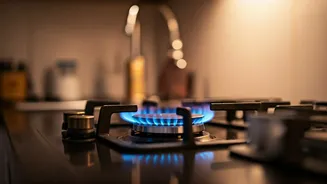 Kerala Family's Accidental Methane Borewell Fuels Kitchen, Saves Thousands Yearly