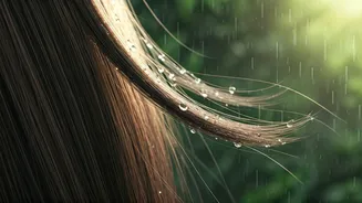 The Biggest Reason Behind Monsoon Hair Fall
