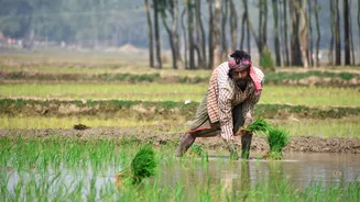 NIIF’s India-Japan Climate Fund to Accelerate Investments in Green Economy
