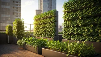 Why Terrace Gardening Revolution Attracts Global Eco Policy Research Teams