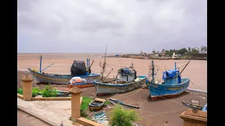 Climate Change Reshaping India's Cyclone Risks