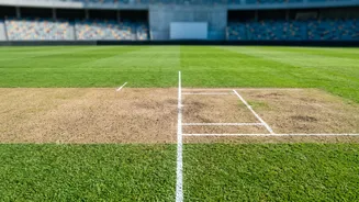 Cricket's weirdest records that actually exist