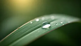 The Oily Skin Guide For Rainy Months