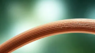 Dandruff vs. Dry Scalp: Dermatologist Insights for a Healthy Scalp