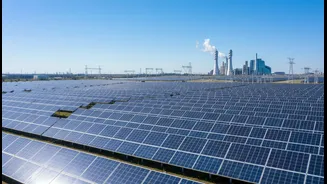 A Quarter Of Annual Factory Electricity Now Comes From The Poznan Solar Farm