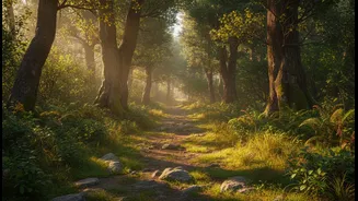 How Short Outdoor Walks Post-Workout Accelerate Neurological Recovery And Reduce Mental Fatigue