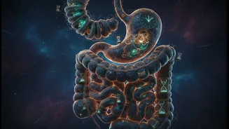 Why Gut Health Experts Are Looking Beyond What You Eat To When You Eat