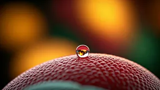 Street Food Hygiene: A Gastroenterologist's Stark Warning on Liver Failure Risks