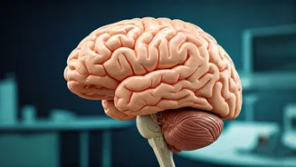 Education Budget 2026: Key Allocations & Initiatives