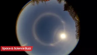 Science & Space Roundup: Top News of the Day (Dec 9)