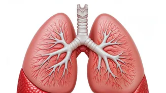 Breathing Easier: WHO-Approved Techniques