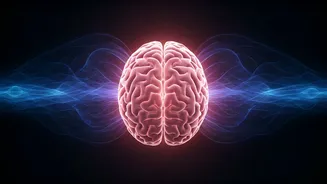 Bipolar Disorder: Early Detection is Key to Preventing Severe Consequences