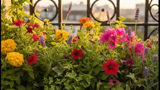 Bees Can Make Balcony Gardening Feel Purposeful