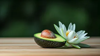 Mira Kapoor's 10 Daily Habits for Glowing Skin and Inner Well-being