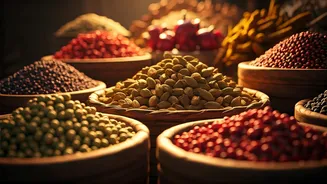 Kerala: Discover the Spice Paradise