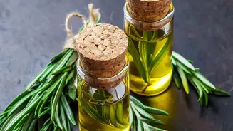 Rosemary Oil Has Some Research, But It Still Is Not A Quick-Fix Growth Hack
