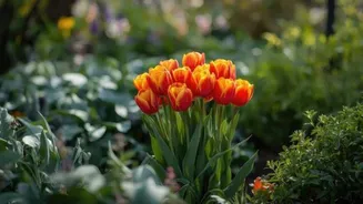 Gardening 101: Tips for brighter flower blooms