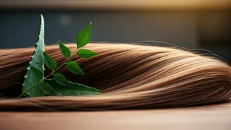 Kitchen Cabinet Hair Savers: 5 Natural Remedies for Summer Hair Fall