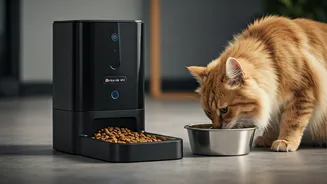 Mumbai Pet Parents Are Obsessed With Automated Smart Feeders