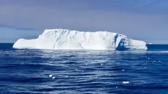 The World's Ocean Thermostat Is Running Hotter Than Ever Recorded