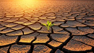 Climate Crossroads: Heading Towards 1.5°C Warming by 2030