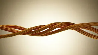 UAE President's India Visit: Bilateral Talks with PM Modi