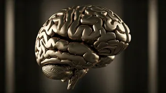 Control Your Senses: Peace Through Gita Chapter 4.39