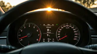 Daily Horoscope: November 11th Insights