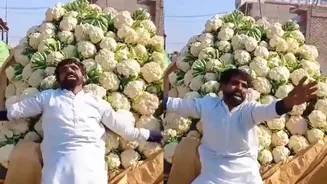 'HUGE Loss For Pakistan': Pakistani Farmer Breaks Down After Afghanistan Halts Trade | VIRAL VIDEO
