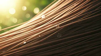 Summer Hair Care Secrets: Mastering Your Wash Routine for Healthy Strands