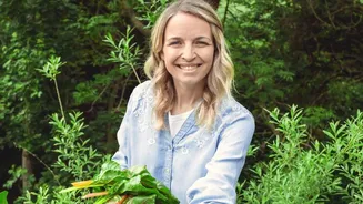 How Urban Gardeners Use Shallow Tray Systems To Harvest Nutrient-Dense Micro-Greens Directly In Kitchens