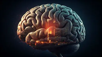 Your City, Your Self: How Moving Reshapes Your Identity