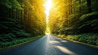 Embrace the Ride: Tim Cook's Wisdom on Finding Joy in Life's Journey, Not Just the Destination