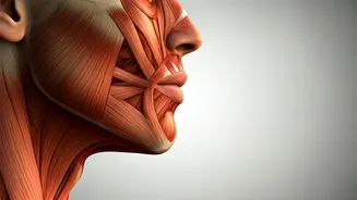 Kareena Kapoor Khan's Trainer Reveals the Secret Behind Her Sculpted Jawline: Discipline, Not Genetics!