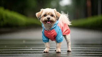 Avoid Wet Dog Smells With These Trendy Durable Pet Raincoats