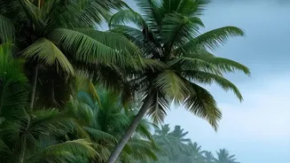 The August Travel Spot Offering A Monsoon Escape