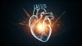 Related Stories banner