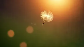 Unlocking the Power of Kindness: Mark Twain's Timeless Lesson for All