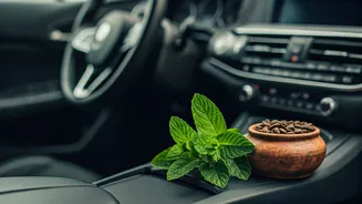 Banish Car Odors: 7 Effortless Tricks for a Fresh-Smelling Interior