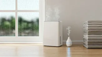 The Easy Monsoon Routine For A Fresher Home