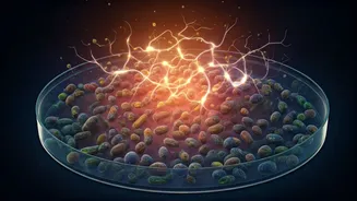 The Future Of Wellness Starts In Your Gut