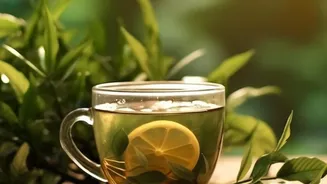 Slow Steeped Cold Teas With Indigenous Botanicals Beat Artificial Tea Syrups