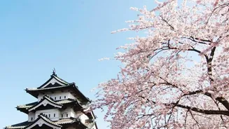 Is IRCTC's Japan Tour Worth The Price? What The Mumbai Package Offers