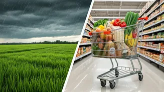 From Crop Fields To Shopping Bills, Rain Matters