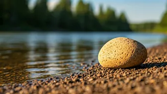 Bhagavad Gita's Wisdom: Control, Knowledge, & Peace