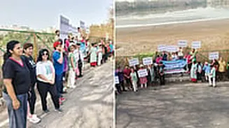 World Migratory Bird Day 2026: Navi Mumbai Activists Warn Wetland Loss Could Worsen Urban Flooding