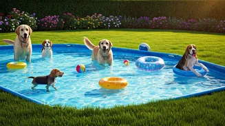 Organize Neighborhood Pet Pool Parties To Beat Summer Heat