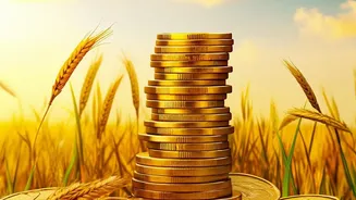 Emergency Fund 101: Simple Liquid Money Targets Before Allocating Savings To Investments