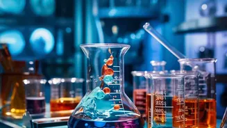 The Safer Headline: Maple Syrup Has Compounds Worth Studying